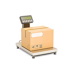 Weight & Scales calibration
